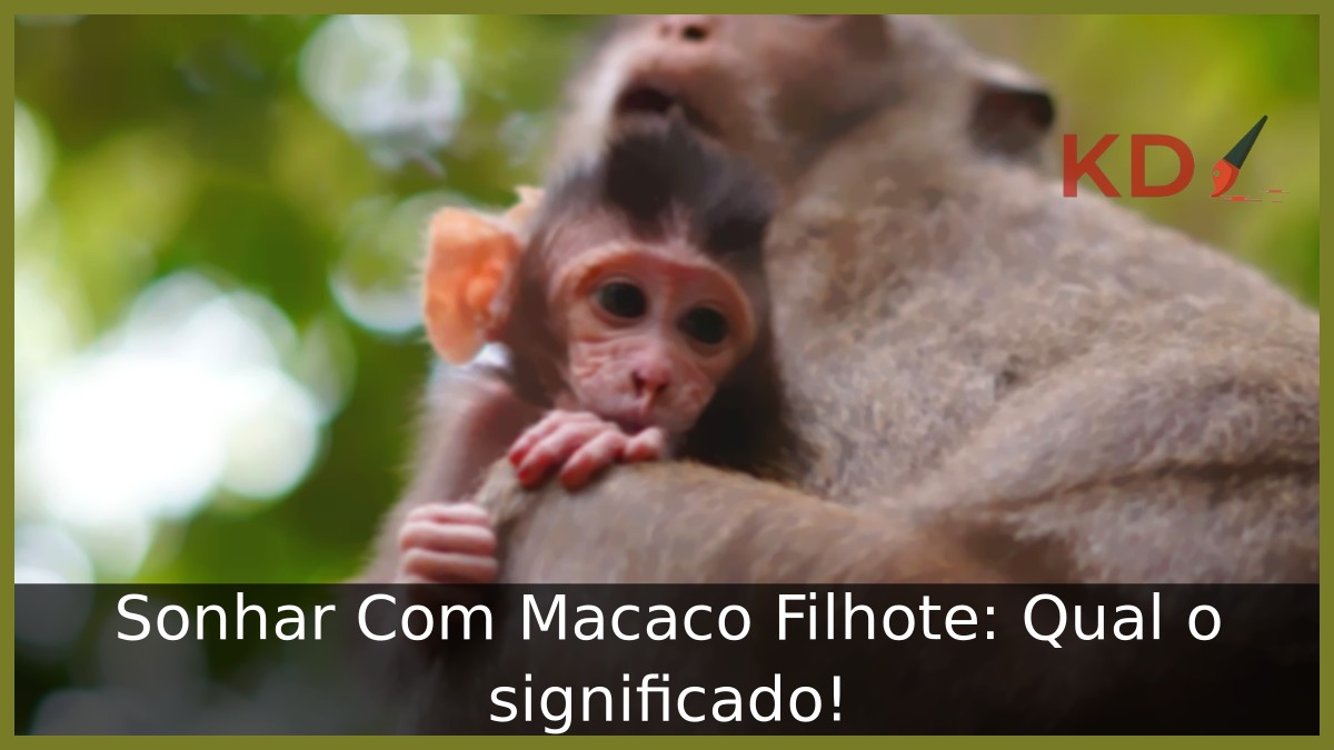 Sonhar Com Macaco Filhote