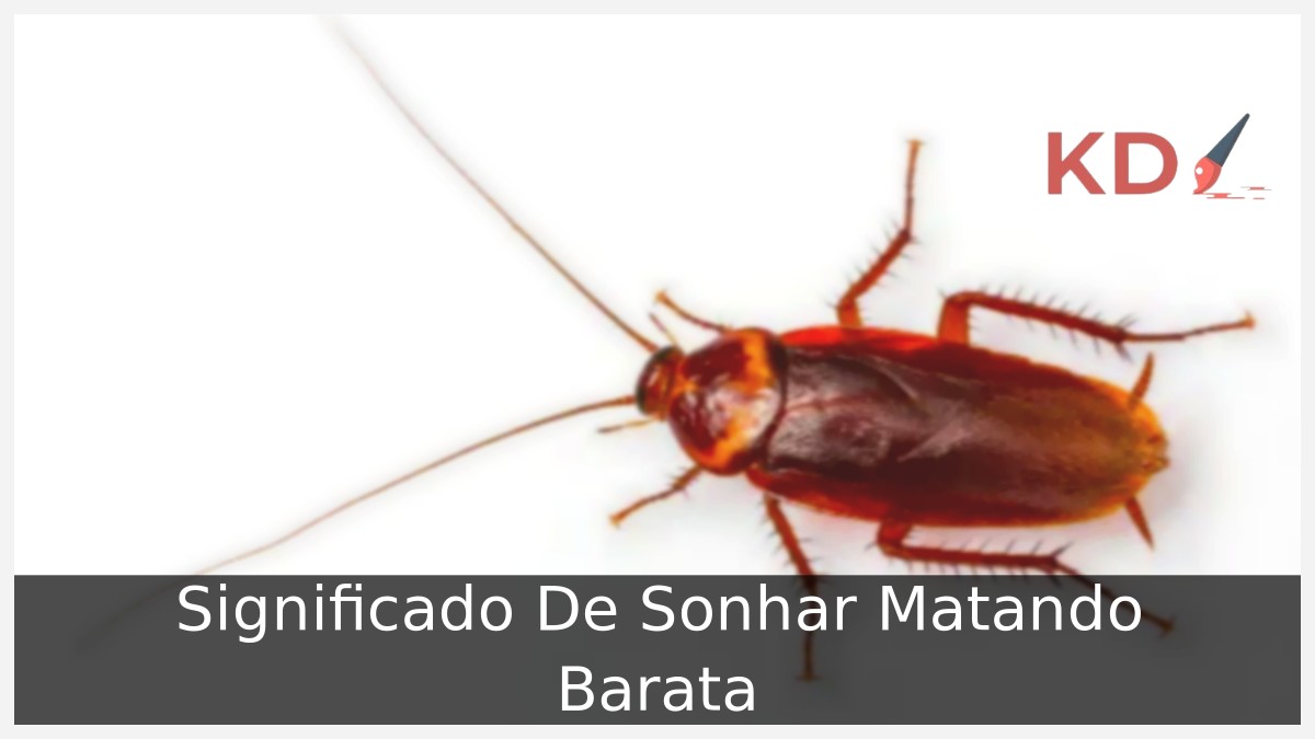 Sonhar Matando Barata: Verdadeiro significado! 23 Sonhar Matando Barata