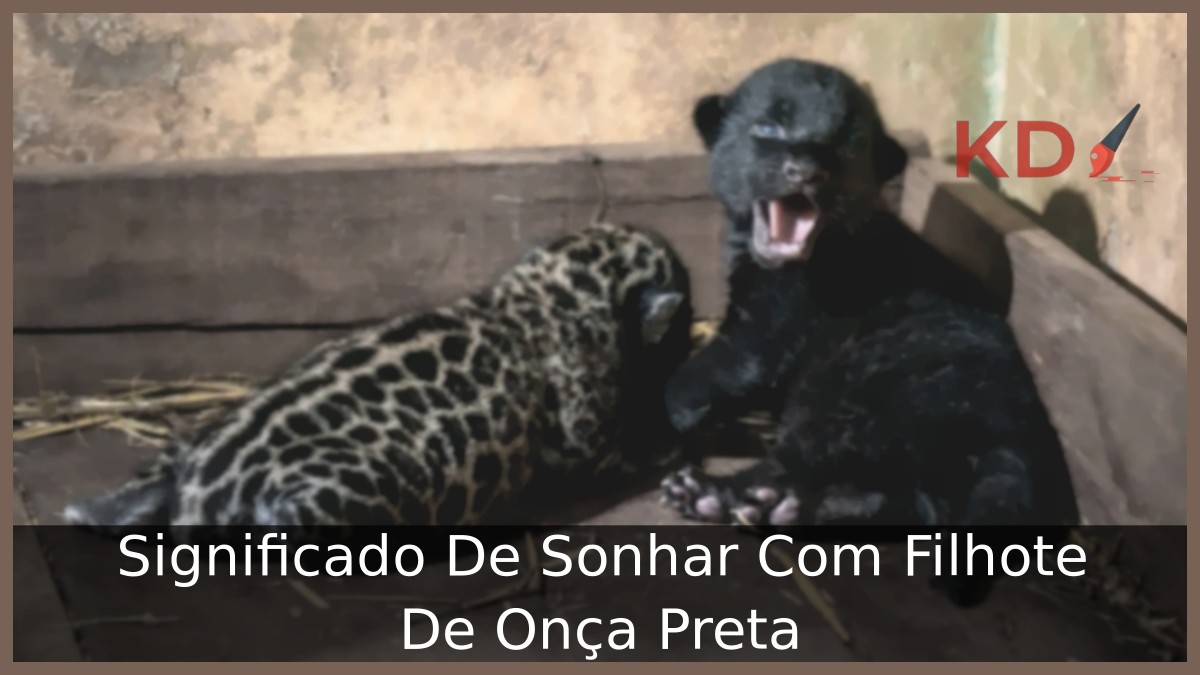 Sonhar Com Filhote De Onça Preta