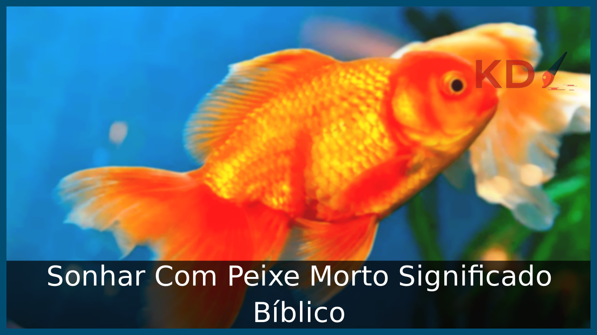 Sonhar Com Peixe Morto Significado Bíblico