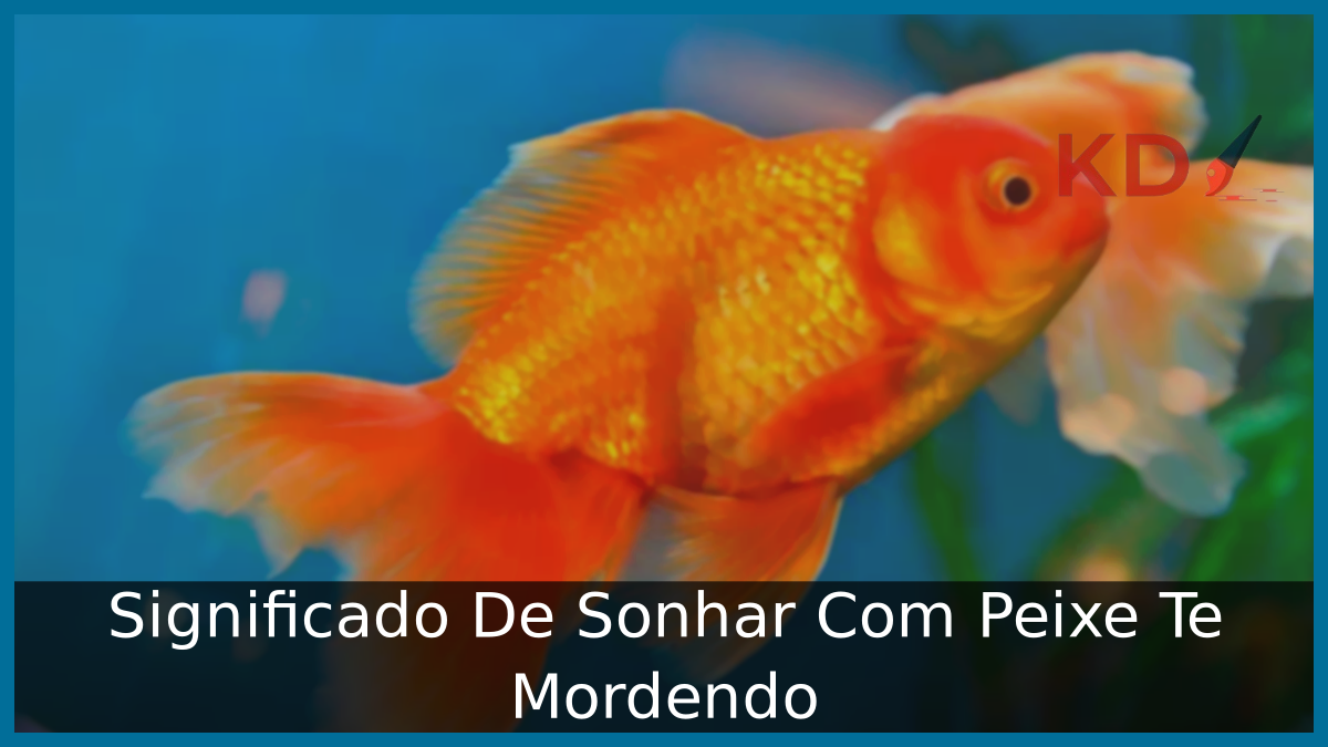 Sonhar Com Peixe Te Mordendo