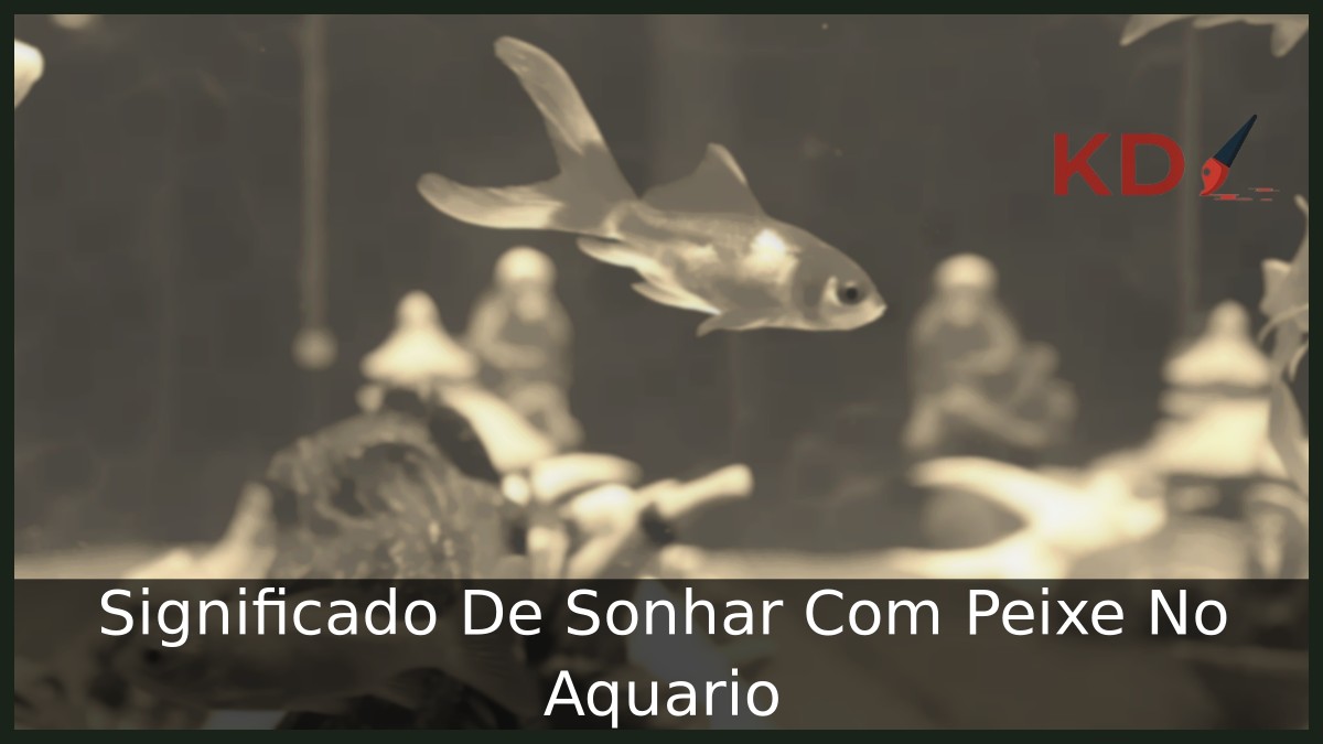 Sonhar Com Peixe No Aquario