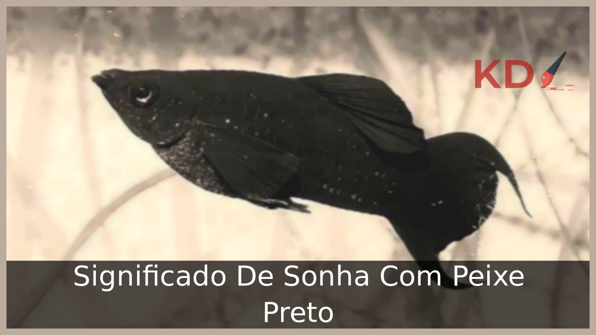 Sonhar Com Peixe Preto: Significado real desse sonho! 11 Sonhar com peixe preto