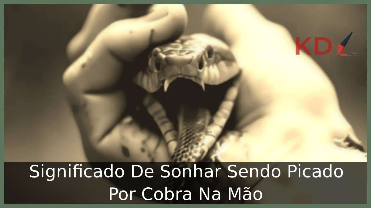 Sonhar sendo picado por cobra na mão: Entenda o real significado! 4 Sonhar sendo picado por cobra na mão