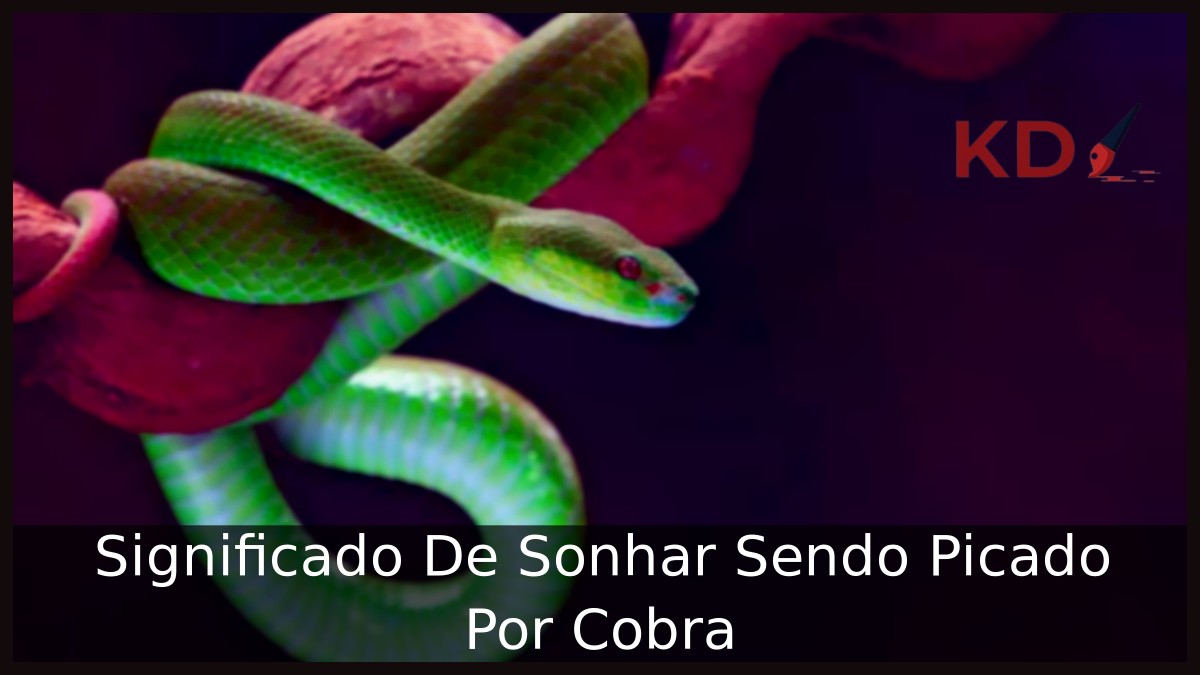 Sonhar sendo picado por cobra: Significado desse sonho! 11 Sonhar sendo picado por cobra