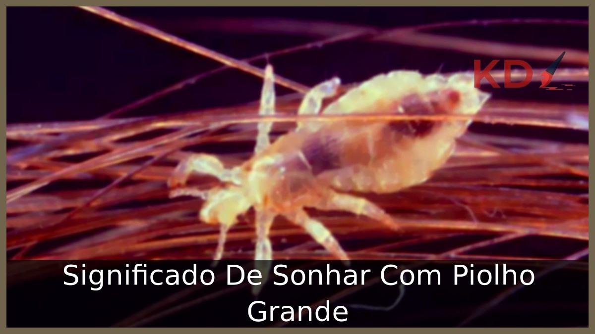 Sonhar Com Piolho Grande