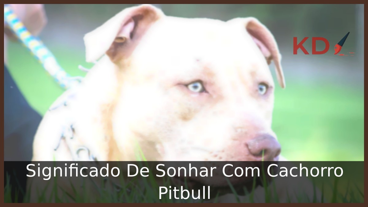 Sonhar Com Cachorro Pitbull