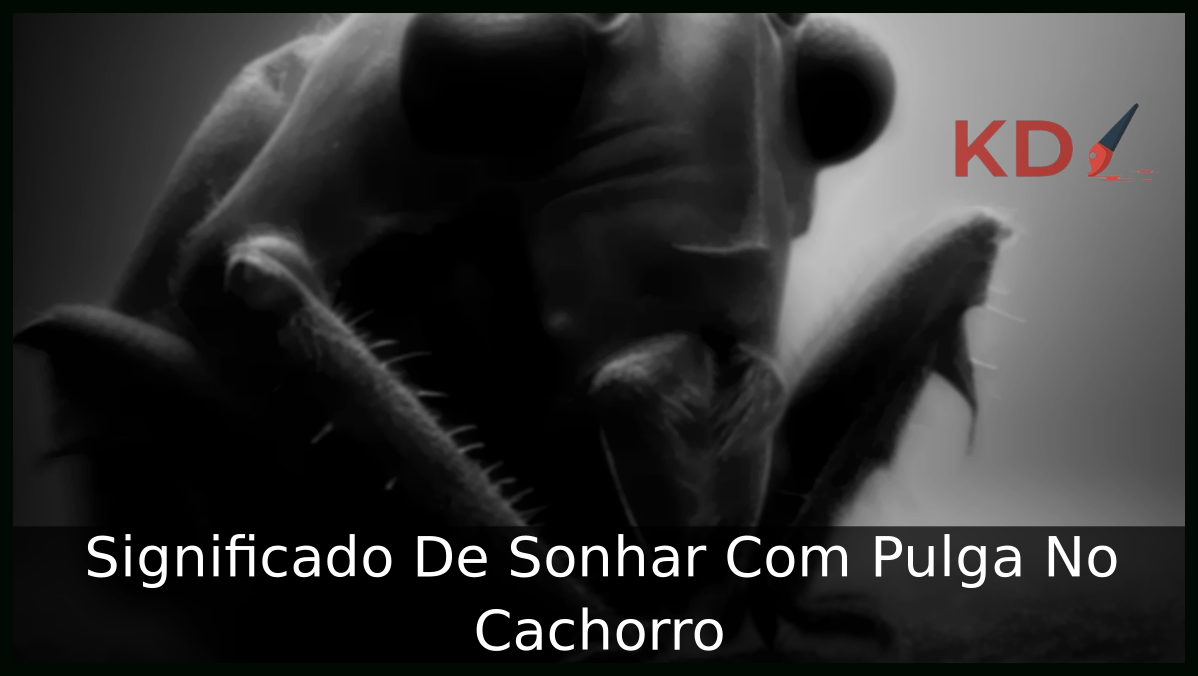 Significado De Sonhar Com Pulga No Cachorro 5 Sonhar Com Pulga No Cachorro