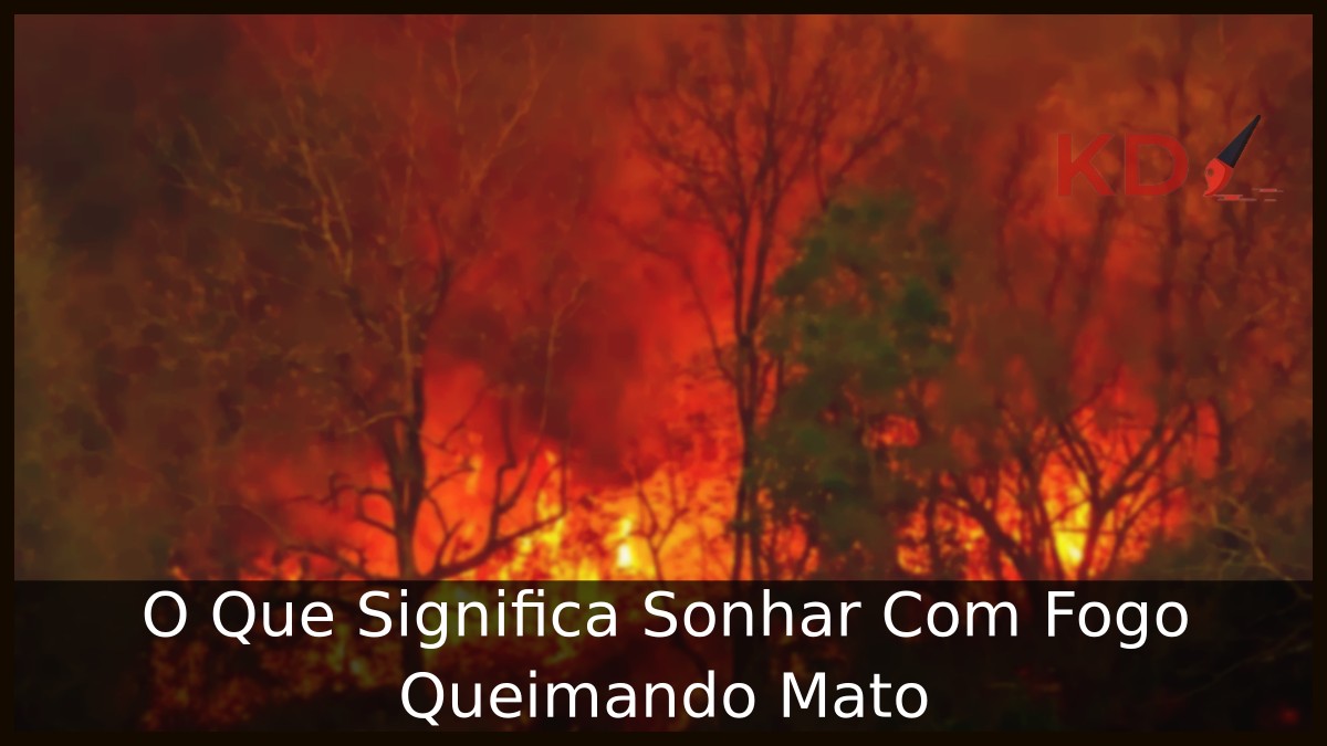 Sonhar Com Fogo Queimando Mato