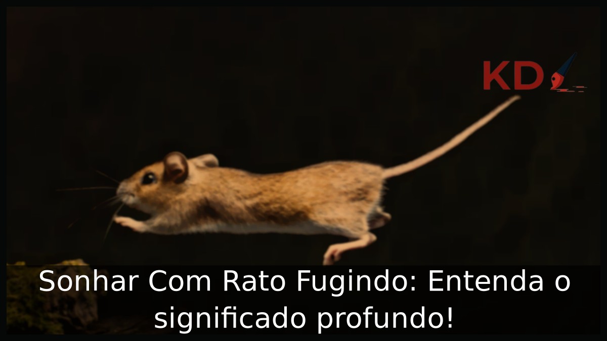 Sonhar Com Rato Fugindo: Entenda o significado profundo! 3 Sonhar Com Rato Fugindo