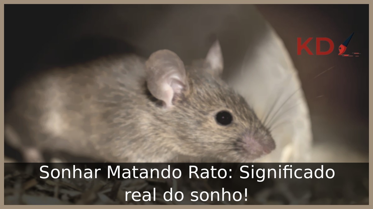 Sonhar Matando Rato: Significado real do sonho! 8 Sonhar Matando Rato