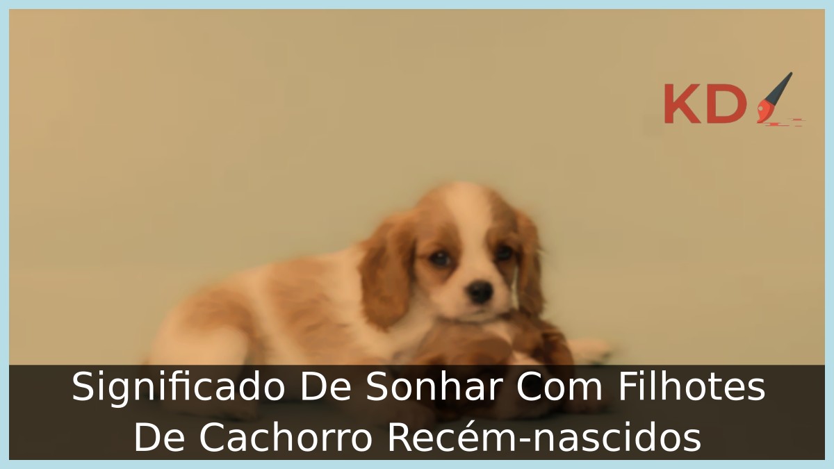 Sonhar Com Filhotes De Cachorro Recém-nascidos