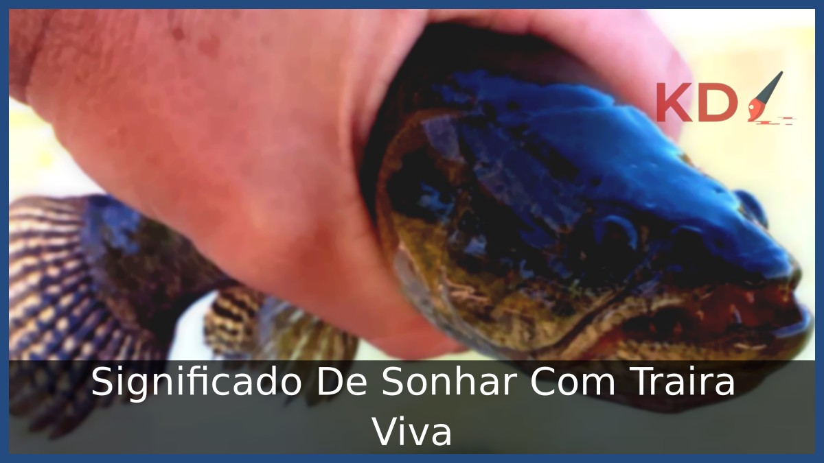 Sonhar Com Traira Viva