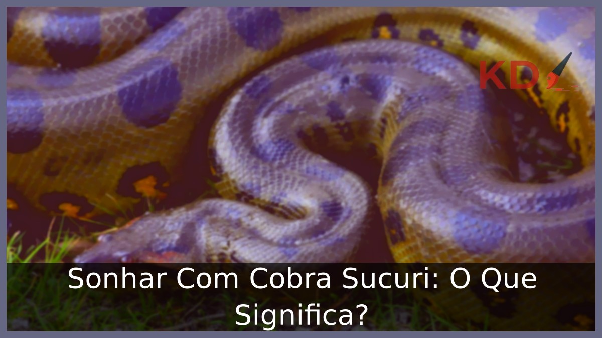 Sonhar Com Cobra Sucuri