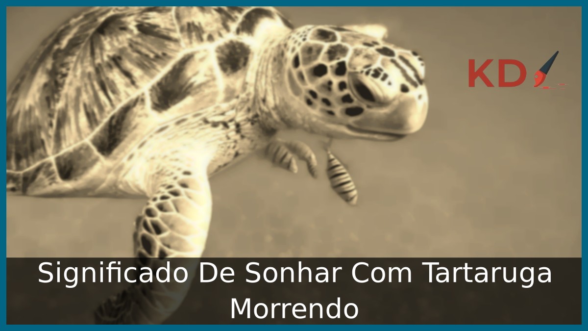 Sonhar Com Tartaruga Morrendo