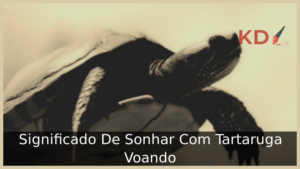 Sonhar Com Tartaruga Voando
