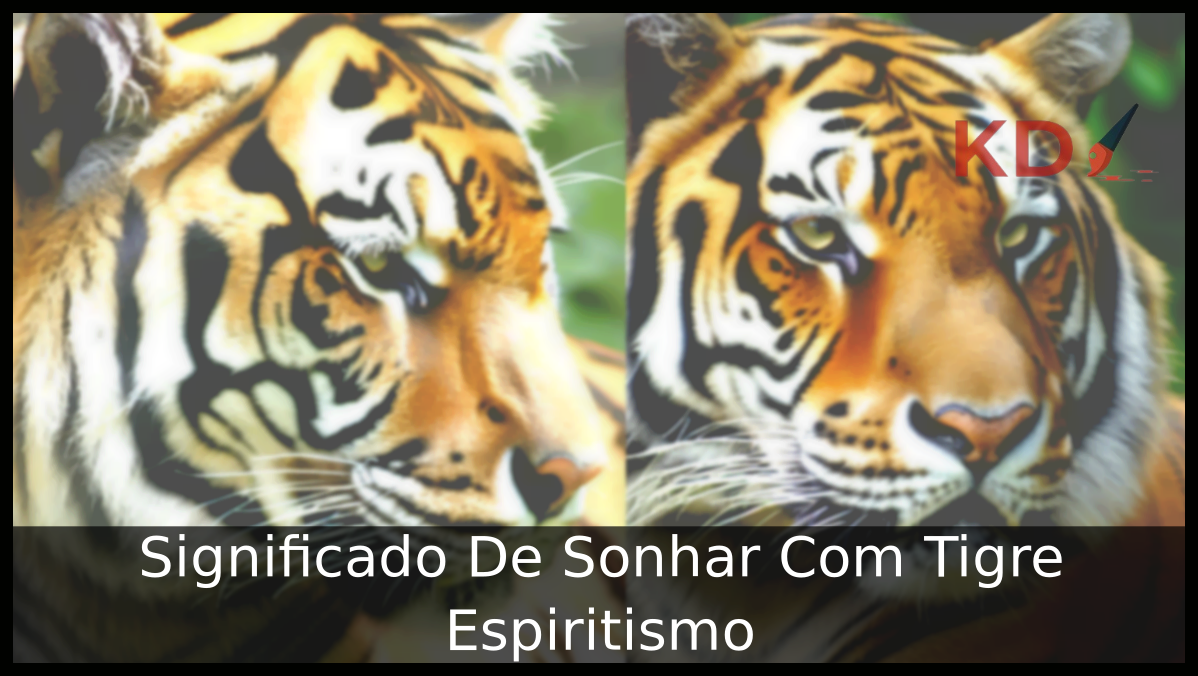 Sonhar Com Tigre no Espiritismo