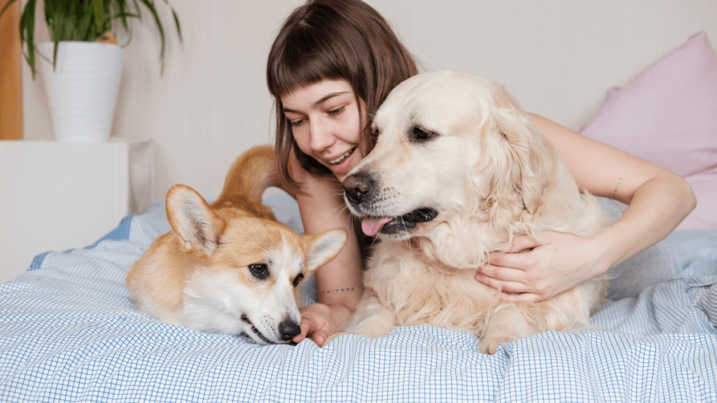 Nomes para pets