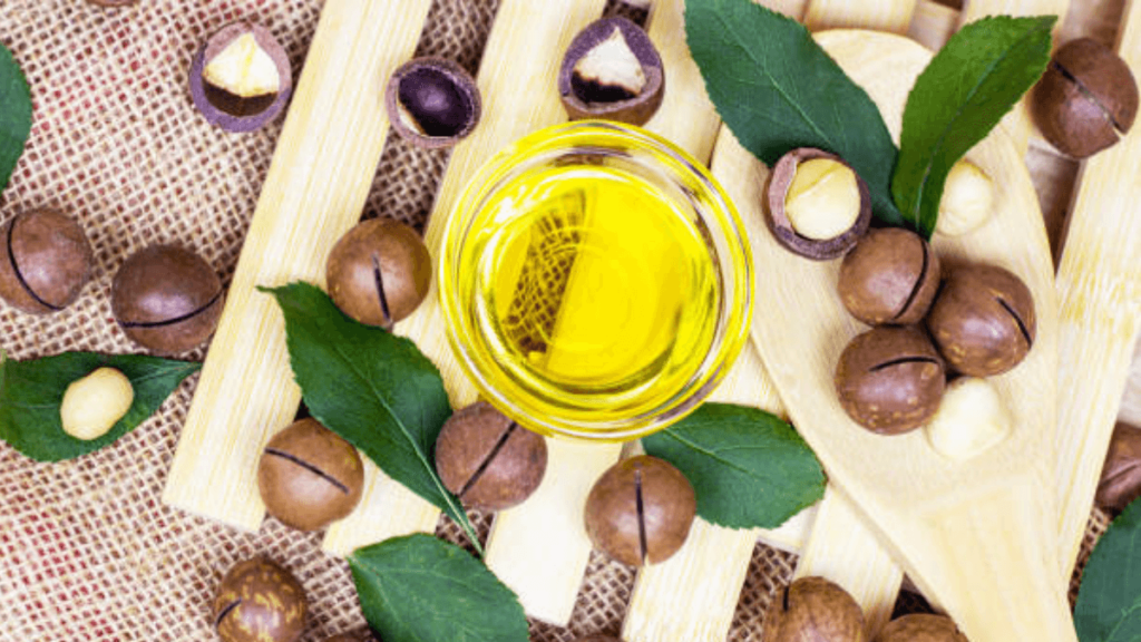 9 Óleos naturais para garantir cabelos longos + 7 dicas de uso! 4 Óleo de Macadâmia