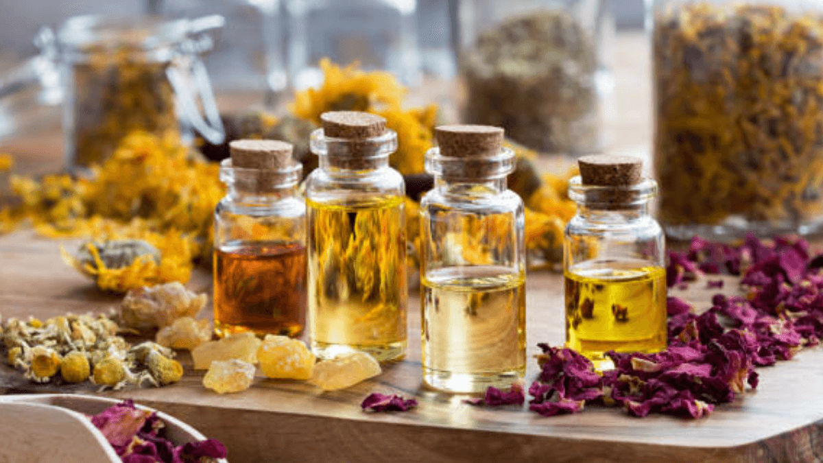 9 Óleos naturais para garantir cabelos longos + 7 dicas de uso! 10 Óleos naturais ótimos para garantir cabelos longos