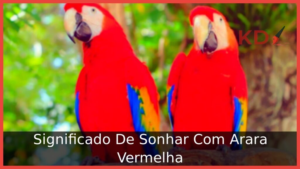Sonhar com arara vermelha: o que isso significa e suas interpretações! 1 Sonhar com arara vermelha: o que isso significa e suas interpretações!