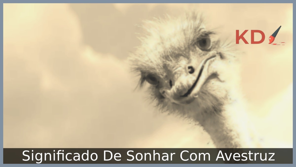 Sonhar Com Avestruz