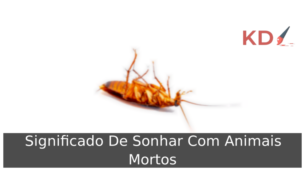 Significado De Sonhar Com Animais Mortos 1 Sonhar Com Animais Mortos