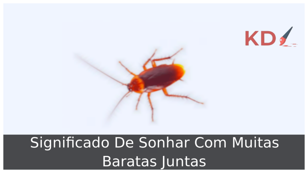 Sonhar Com Muitas Baratas Juntas
