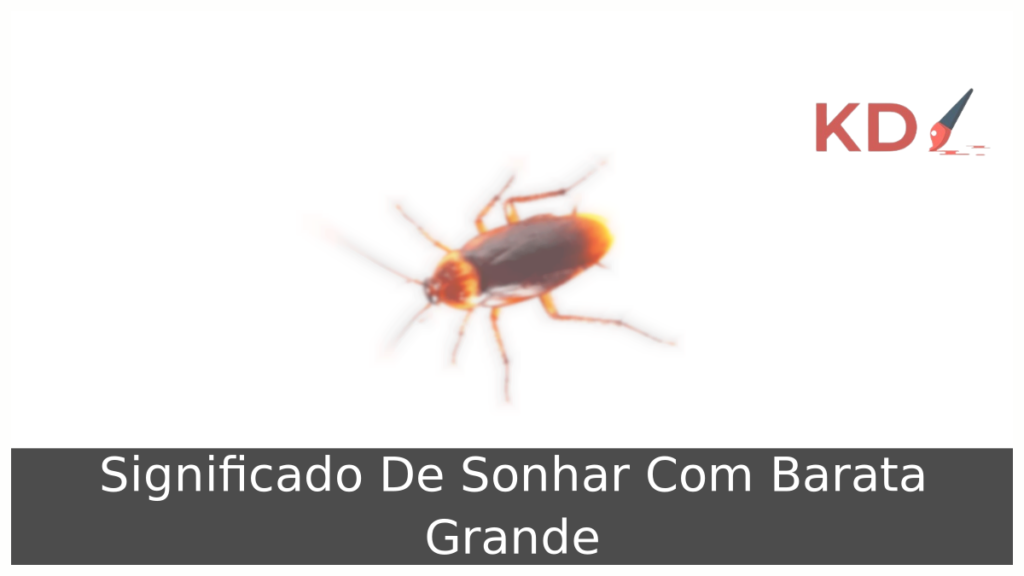 Sonhar Com Barata Grande