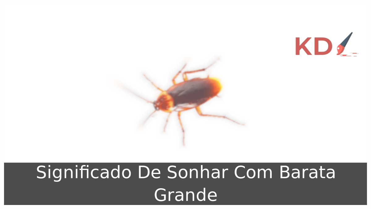 Sonhar Com Barata Grande