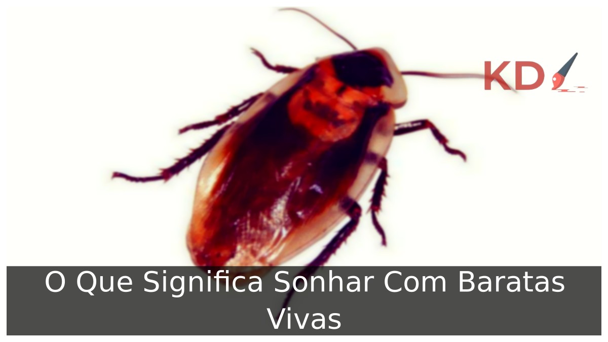 Sonhar com baratas vivas: interpretações e significados 3 Sonhar com baratas vivas: interpretações e significados.