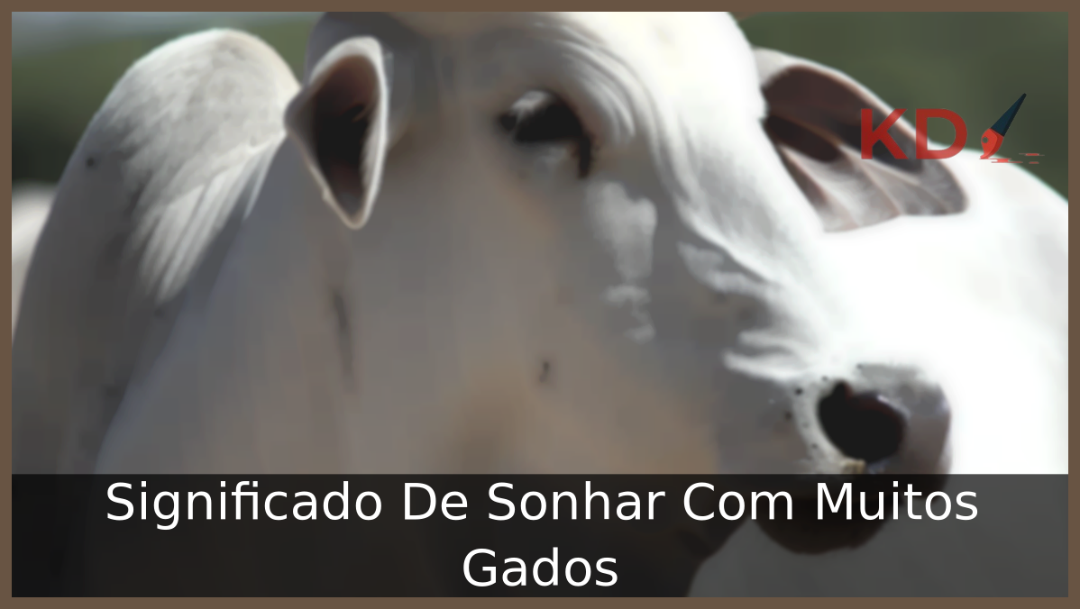 Significado De Sonhar Com Muitos Gados 7 Sonhar Com Muitos Gados