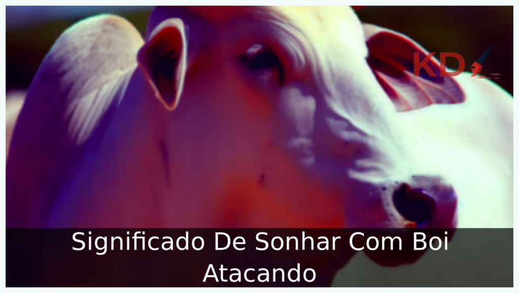 Significado De Sonhar Com Boi Atacando 1 Sonhar Com Boi Atacando