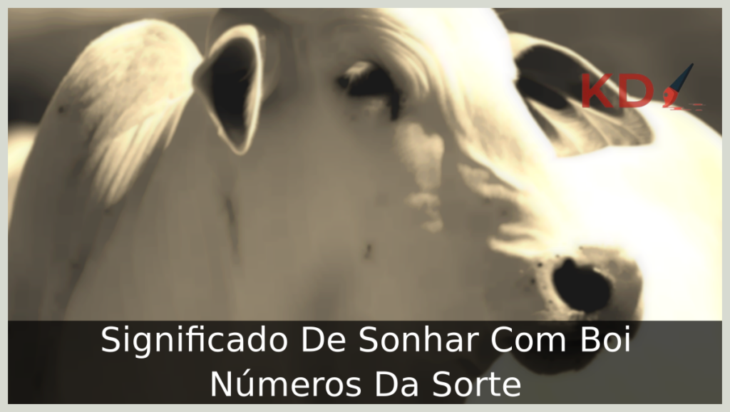 Sonhar Com Boi 