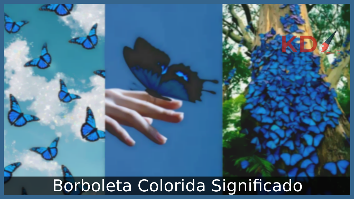 Borboleta Colorida Significado