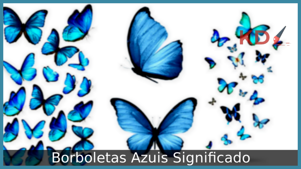 Borboletas Azuis Significado: Descubra tudo que você precisa saber! 1 Borboletas Azuis Significado