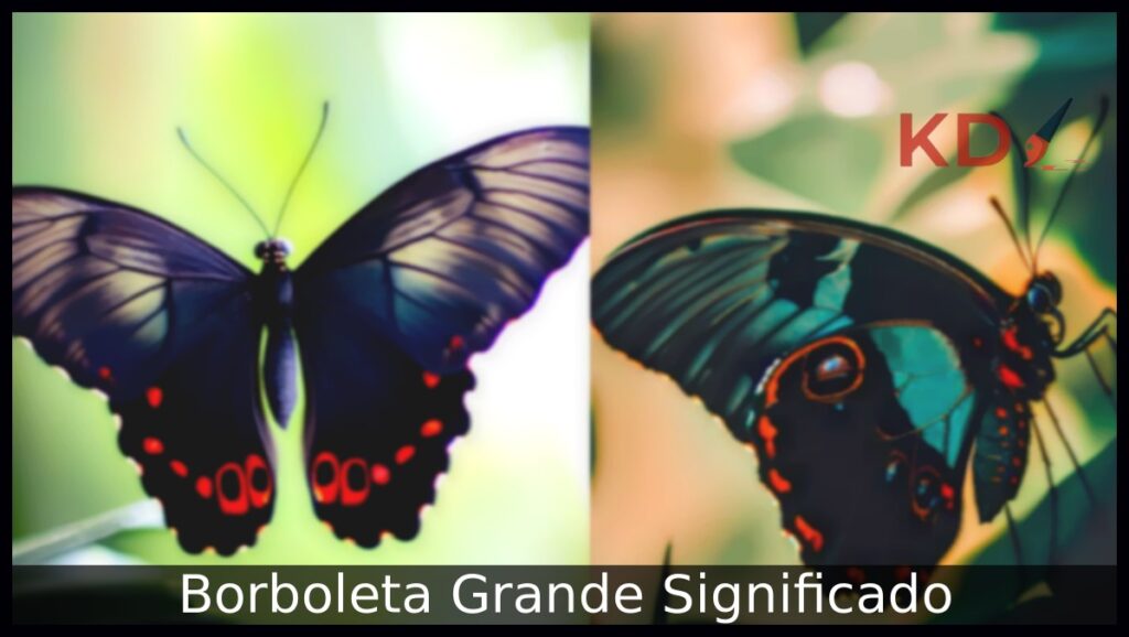 Borboleta Grande Significado: Descubra tudo que você precisa saber! 1 Borboleta Grande Significado