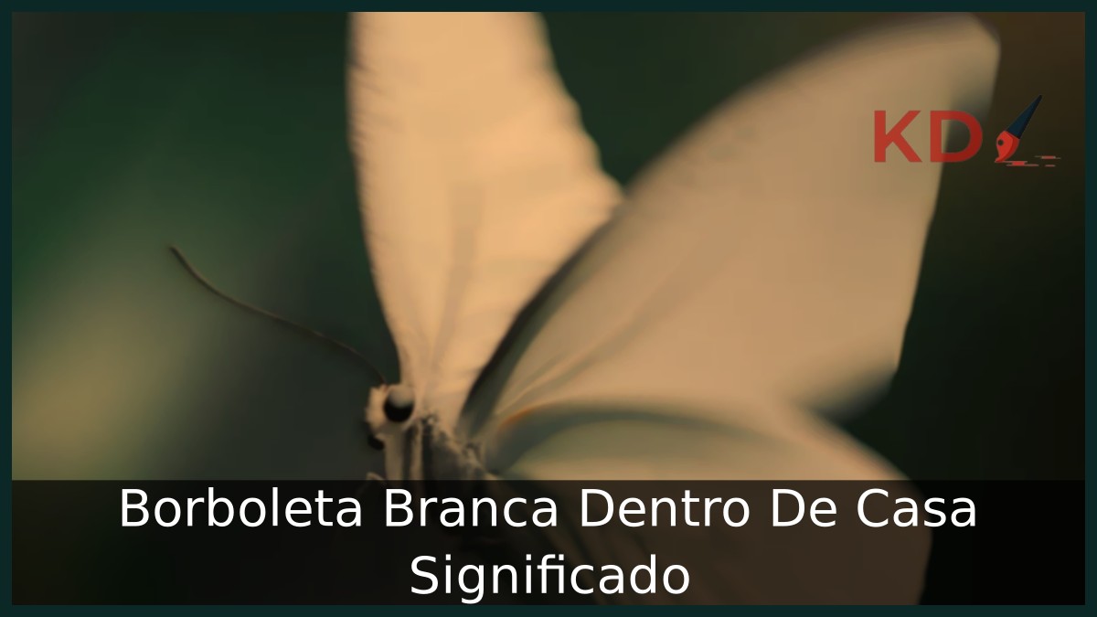 Significado Borboleta Branca Dentro De Casa: É bom? 7 Borboleta Branca Dentro De Casa