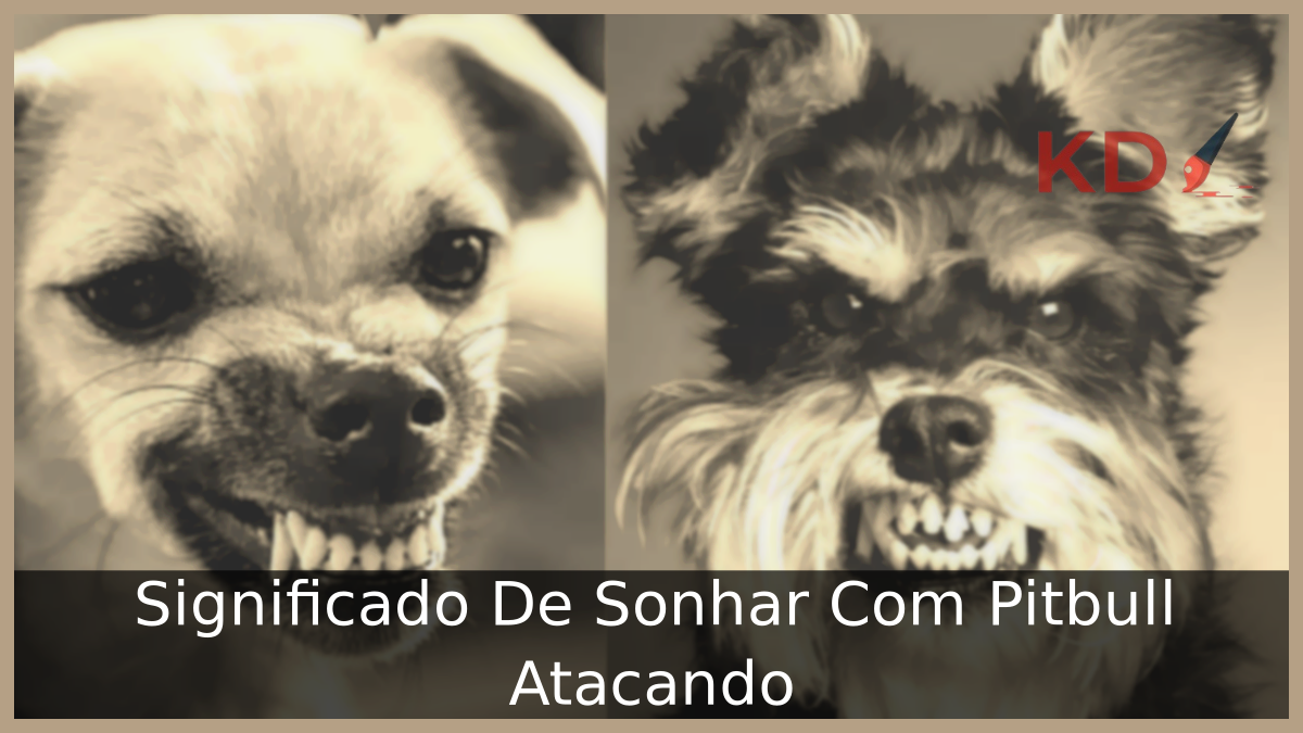 Sonhar Com Pitbull Atacando