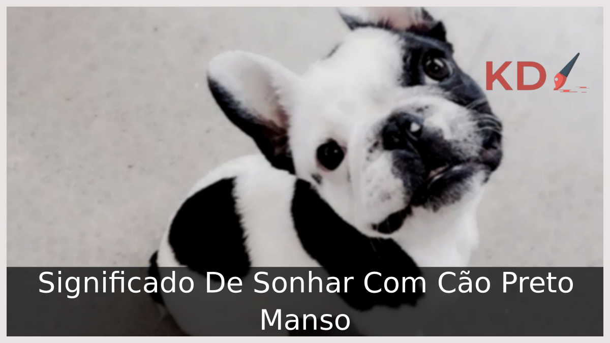 Sonhar Com Cão Preto Manso
