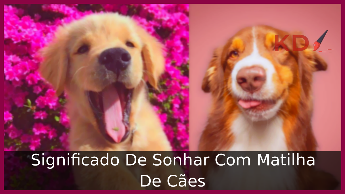 Significado De Sonhar Com Matilha De Cães 9 Sonhar Com Matilha De Cães