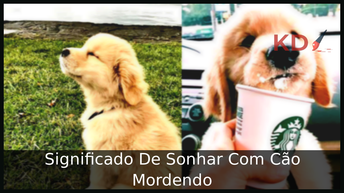 Sonhar Com Cão Mordendo