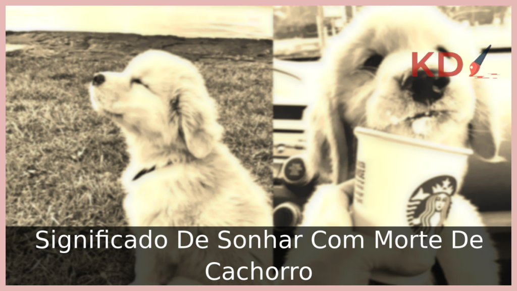 Significado De Sonhar Com Morte De Cachorro 1 Sonhar Com Morte De Cachorro