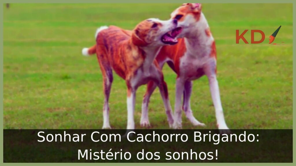 Sonhar Com Cachorro Brigando: Mistério dos sonhos! 1 Sonhar Com Cachorro Brigando: Mistério dos sonhos!