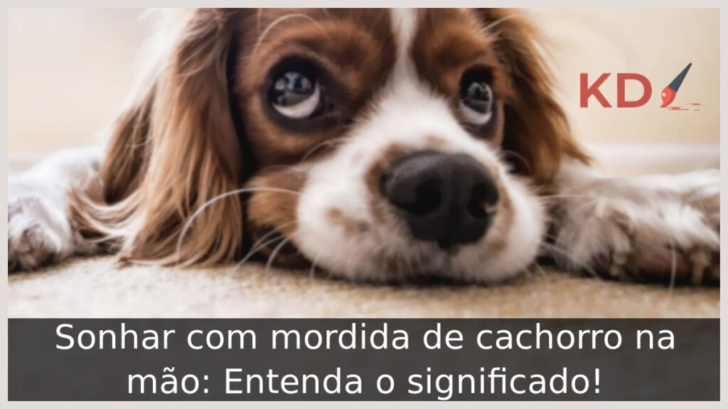 Sonhar com mordida de cachorro na mão: Entenda o significado! 1 Sonhar com mordida de cachorro na mão: Entenda o significado!