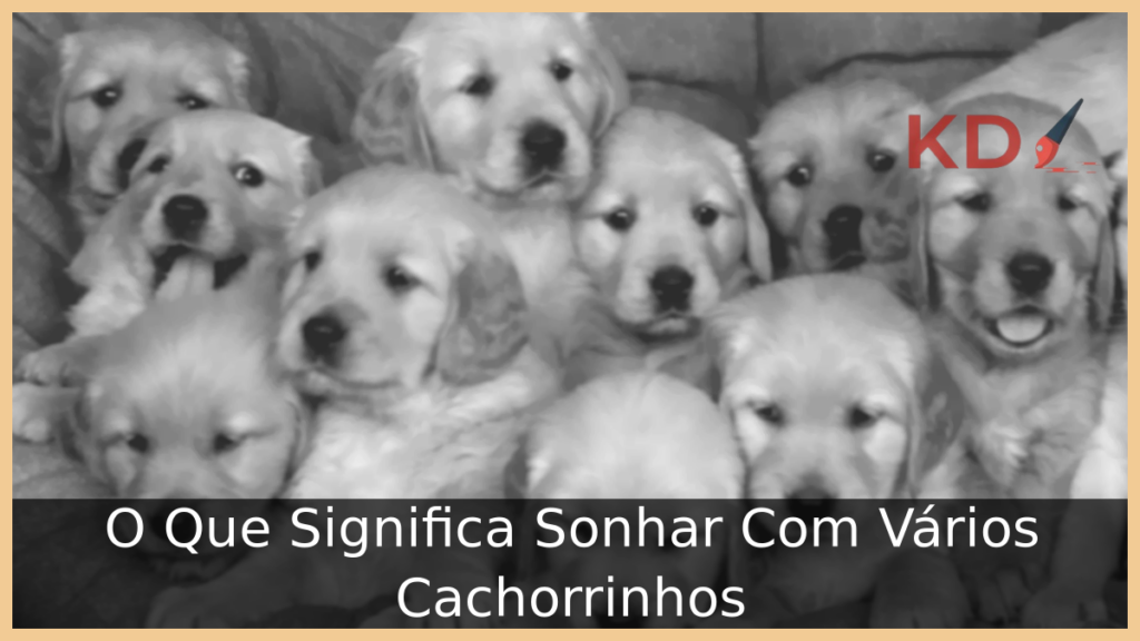 Sonhar Com Vários Cachorrinhos