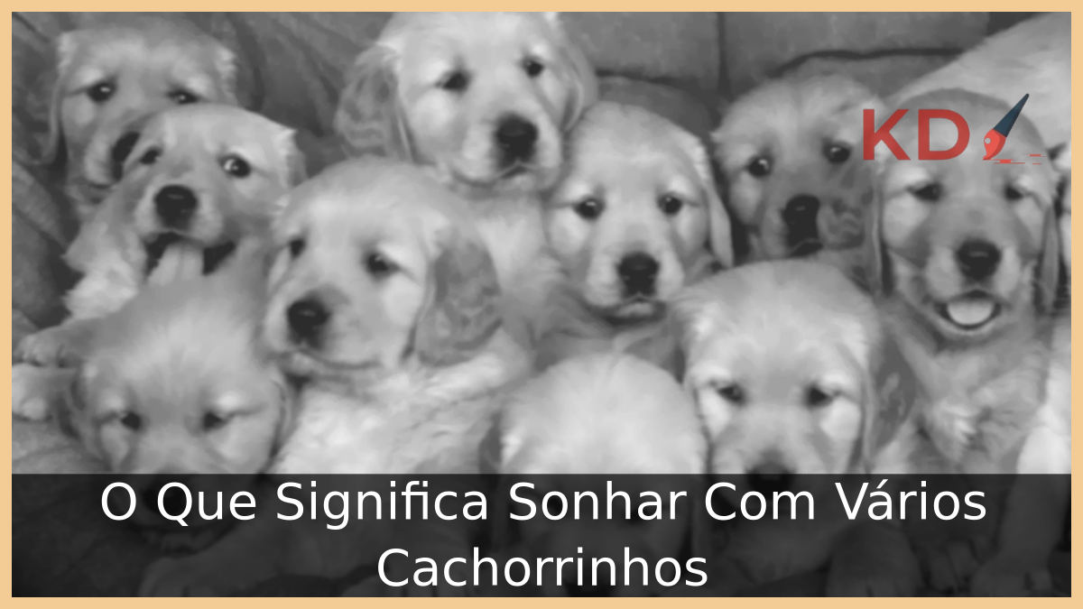 Sonhar Com Vários Cachorrinhos