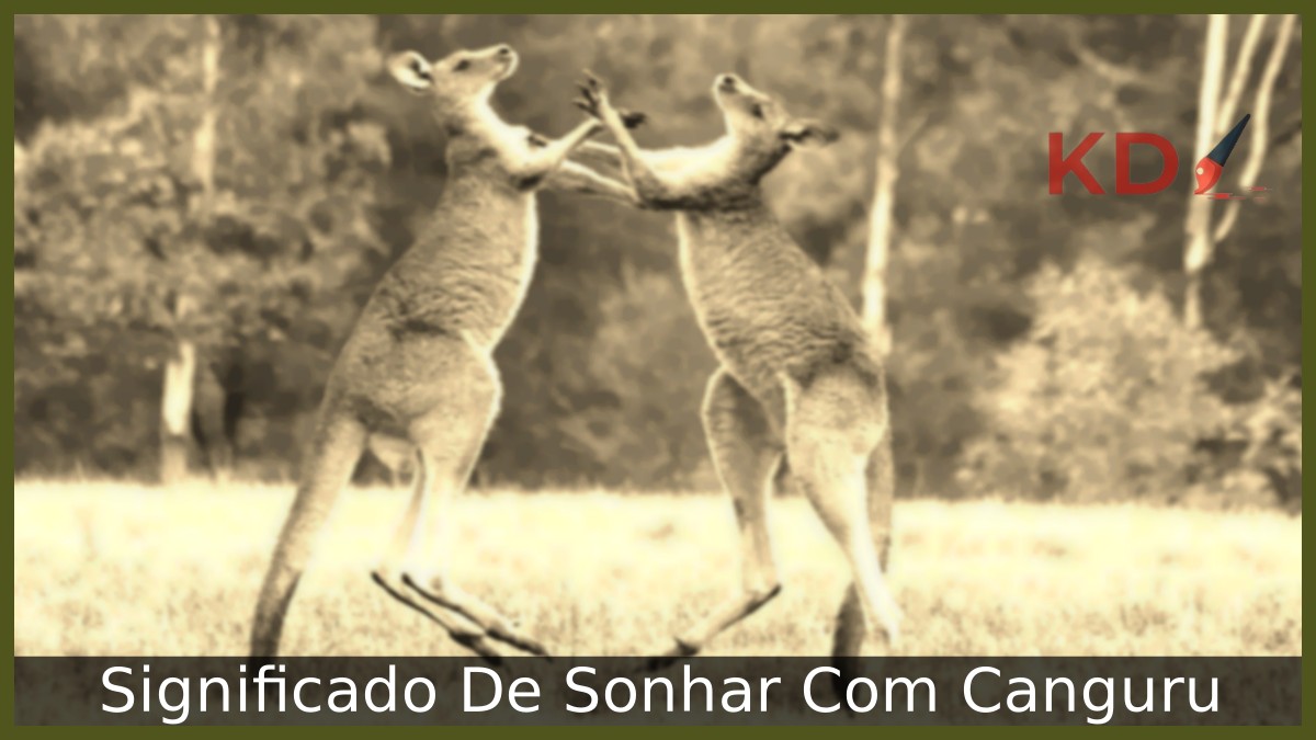 Sonhar Com Canguru