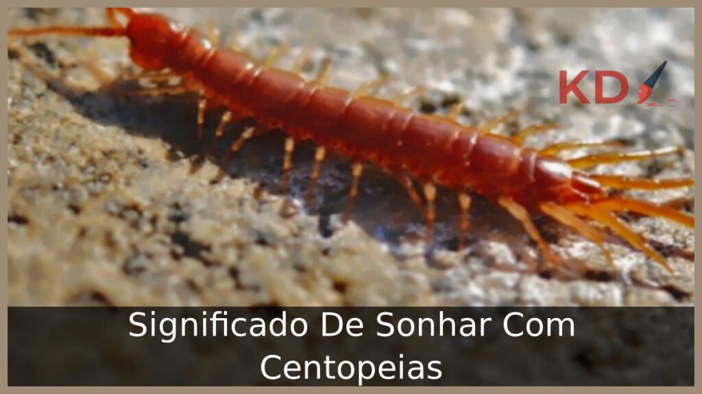 Sonhar com centopeias: interpretações e simbolismos!
