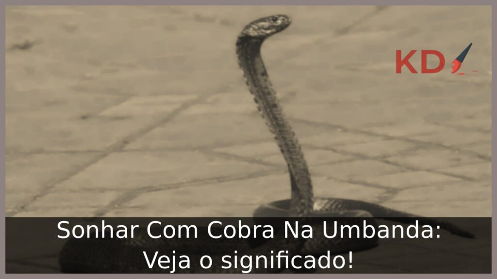 Sonhar Com Cobra Na Umbanda: Veja o significado! 1 Sonhar Com Cobra Na Umbanda: Veja o significado!
